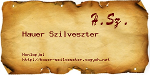Hauer Szilveszter névjegykártya